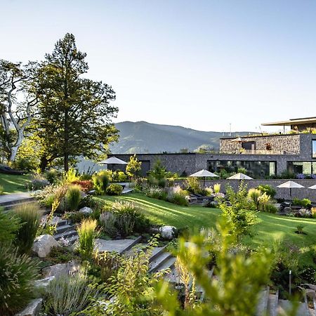 Luisenhoehe - Gesundheitsresort Schwarzwald Horben Dış mekan fotoğraf